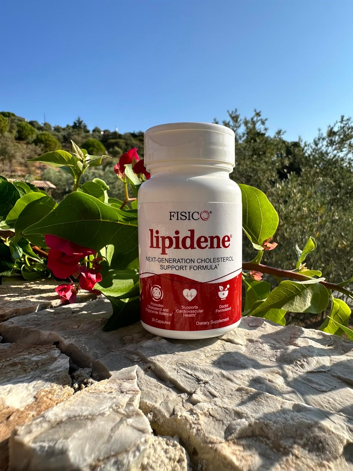 Lipidene Cholesterol Support Capsules
