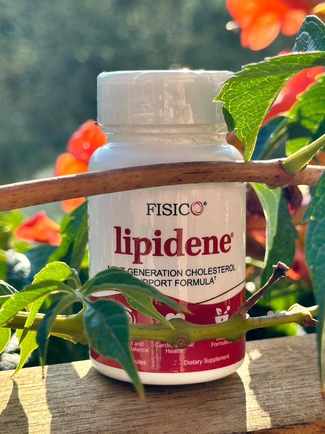 Lipidene Cholesterol Support Capsules