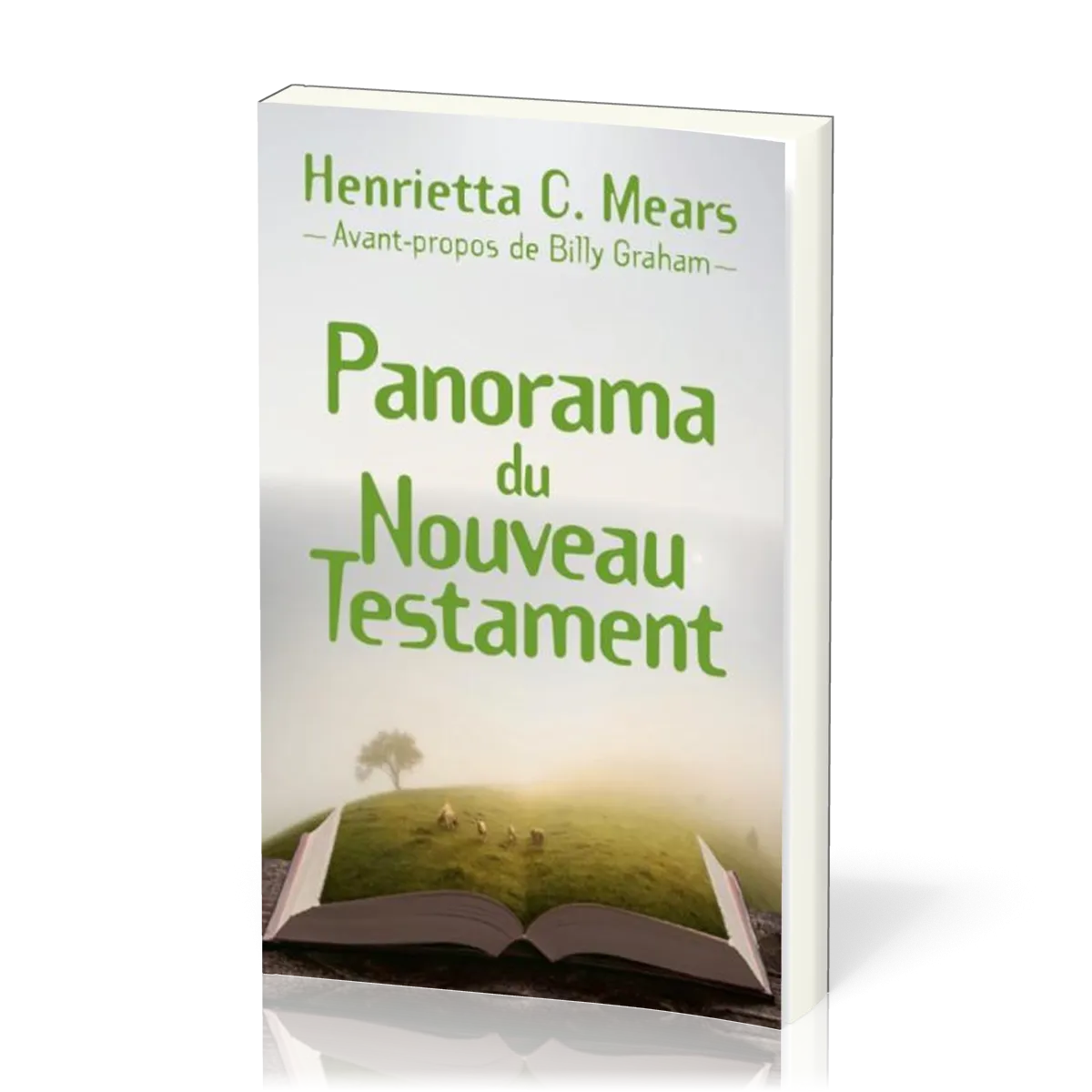 Panorama du Nouveau Testament par Henrietta C. Mears