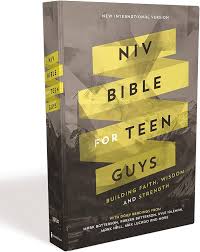 NIV BIBLE FOR TEEN GUYS: BUILDING FAITH, WISDOM & STRENGTH