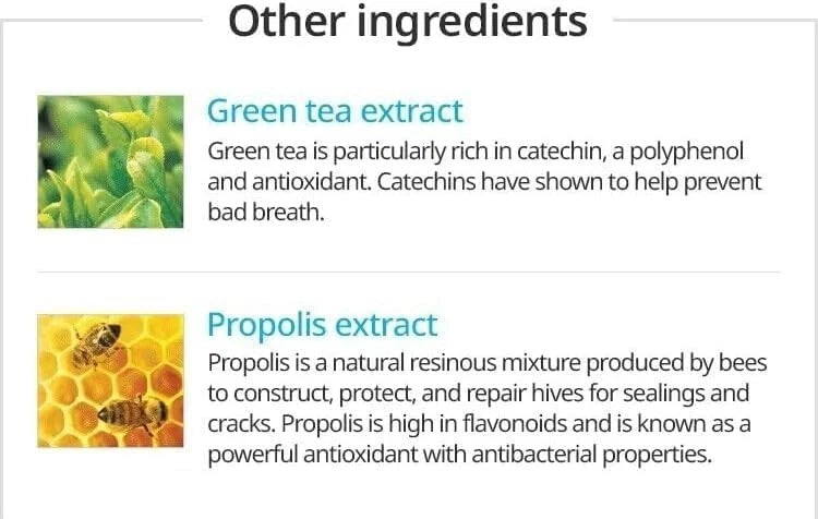 Atomy Toothpaste Propolis (SINGLE) 15 ml